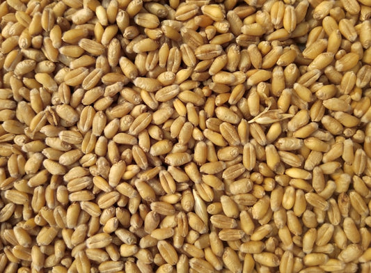 Whole Wheat Flour grocery product image